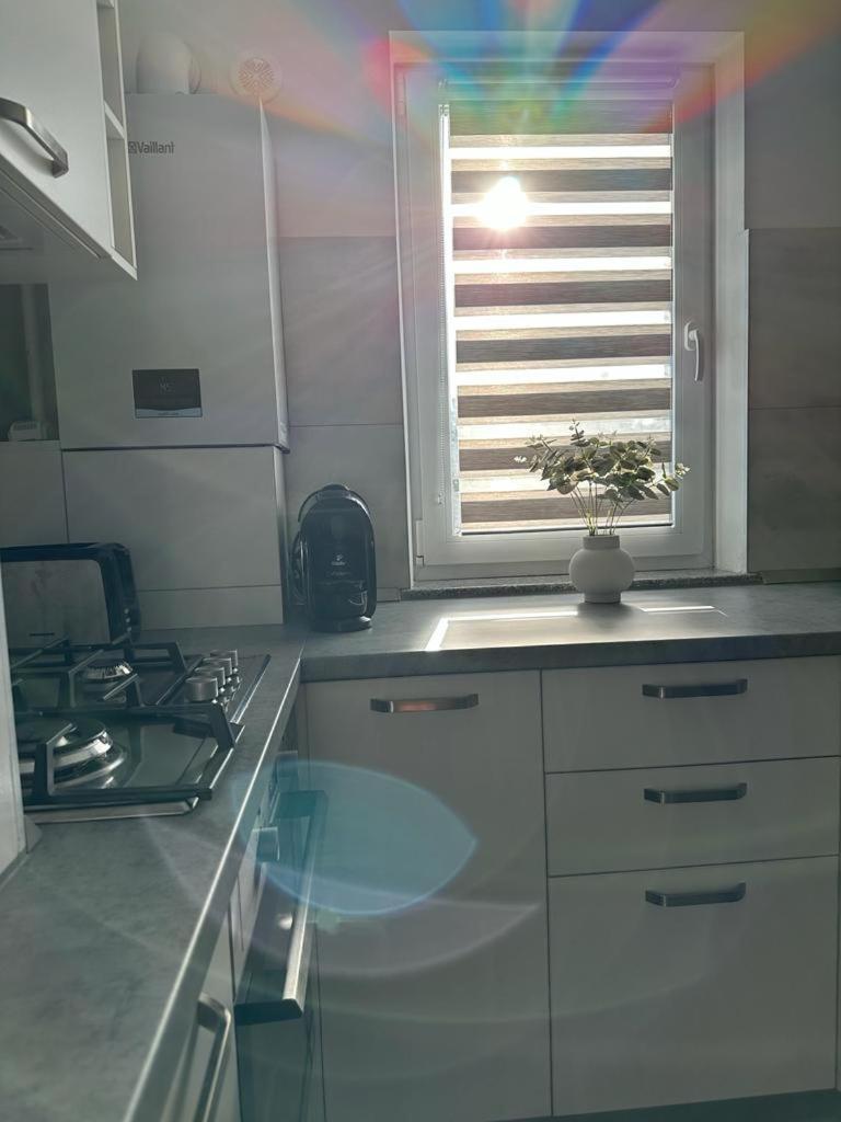 Cozy Studios In سوتْشافا المظهر الخارجي الصورة